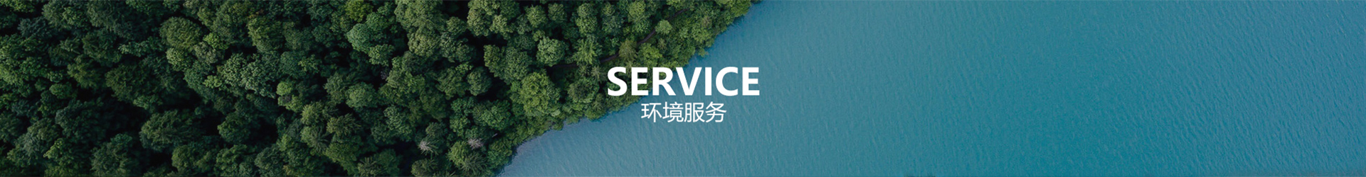 情形效劳
