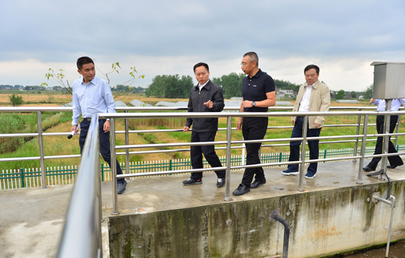 细化行动、凝聚协力，，，，，，，，扎实推进环巢湖流域水情形综合治理——省长李国英一行调研长临河镇污水处置惩罚厂
