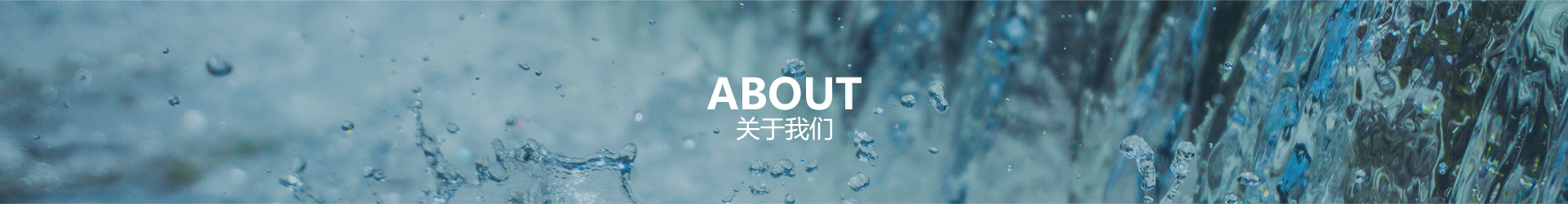 关于尊龙凯时