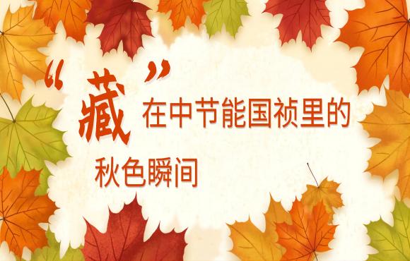 四序国祯丨“藏”在尊龙凯时里的秋色瞬间