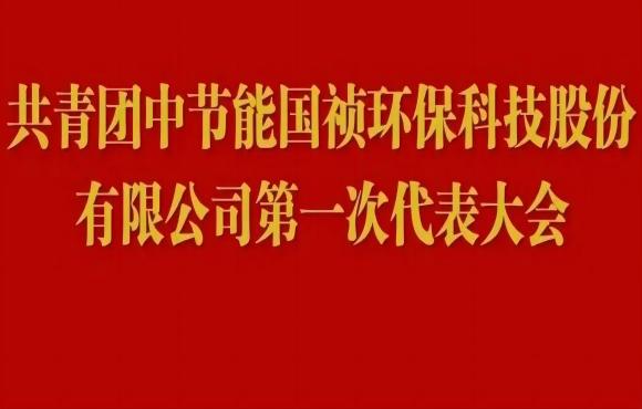 共青团尊龙凯时第一次代表大会胜利召开