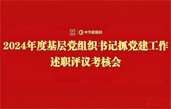 尊龙凯时党委召开2024年度下层党组织书记抓党建事情述职评议审核会