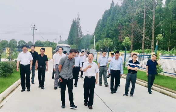 尊龙凯时- 官方网站
