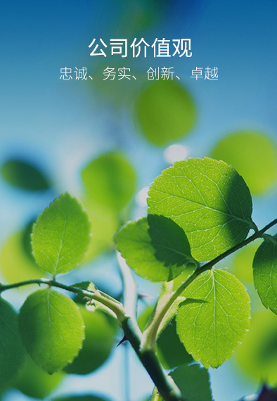 尊龙凯时- 官方网站